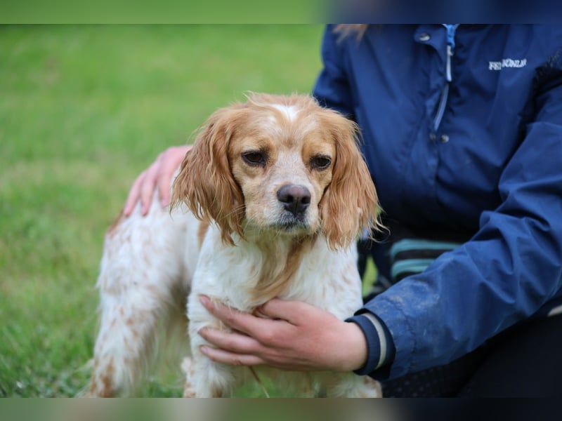 Uliana - Der Sinn des Lebens....