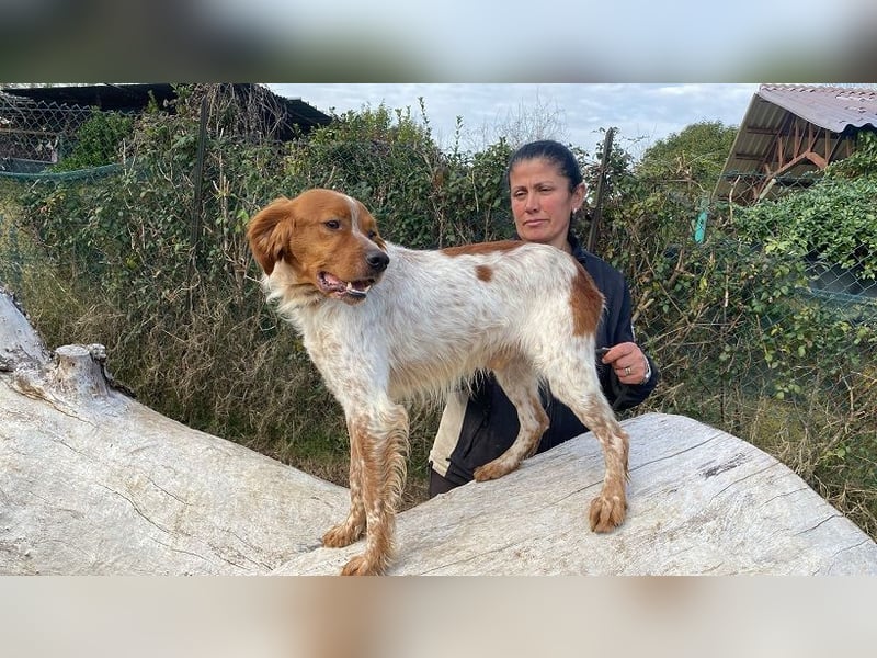 Steve - Freundlichkeit muss sich doch auszahlen