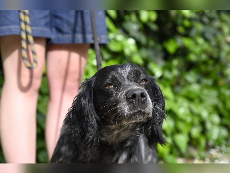 Samira - Gerettet, angekommen, bereit für ein neues Leben