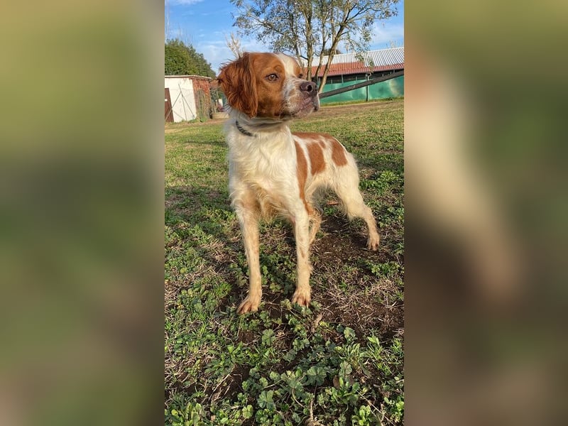 Fish - Es gibt eine freundliche Welt.....