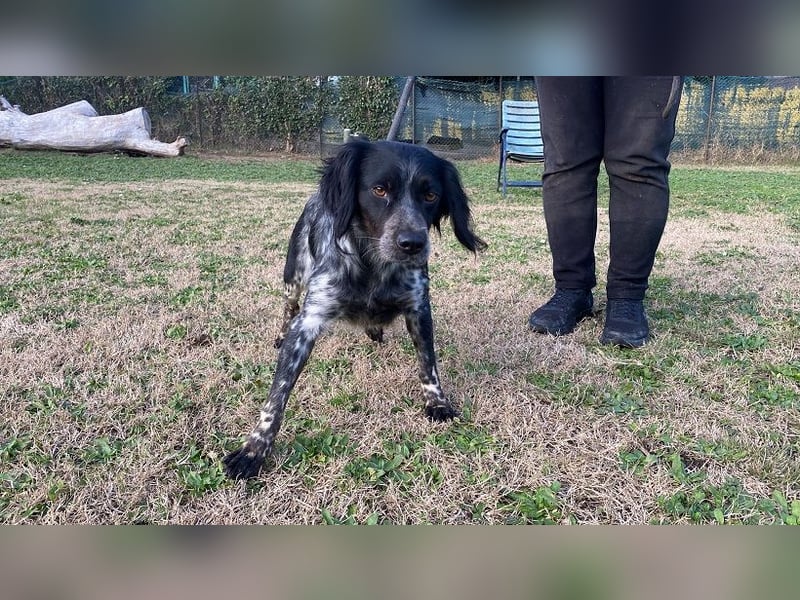 Samira - Gerettet, angekommen, bereit für ein neues Leben