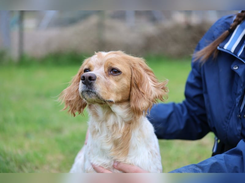 Uliana - Der Sinn des Lebens....