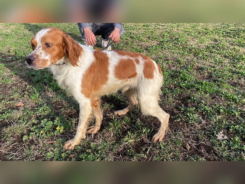 Fish - Es gibt eine freundliche Welt.....