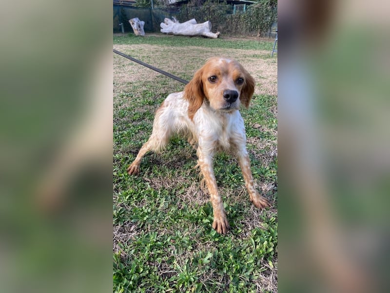 Uliana - Der Sinn des Lebens....