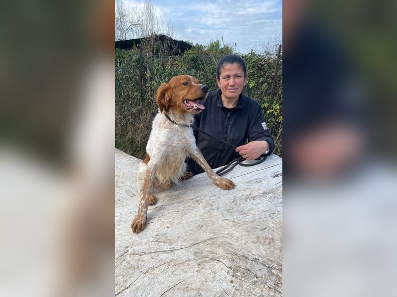 Steve - Freundlichkeit muss sich doch auszahlen