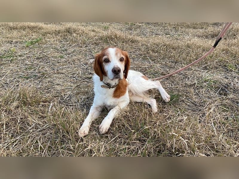 Giotto - wer sagt eigentlich, dass Abenteuer ein Alter haben?