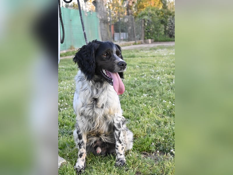 Eros- Nähe, Vertrauen und einfach dazugehören