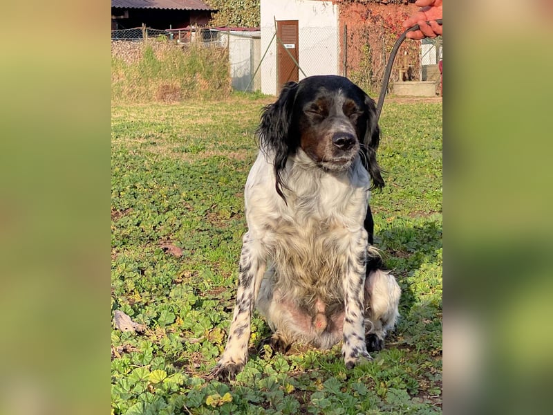 Eros - wenn Vertrauen langsam zurückkehrt