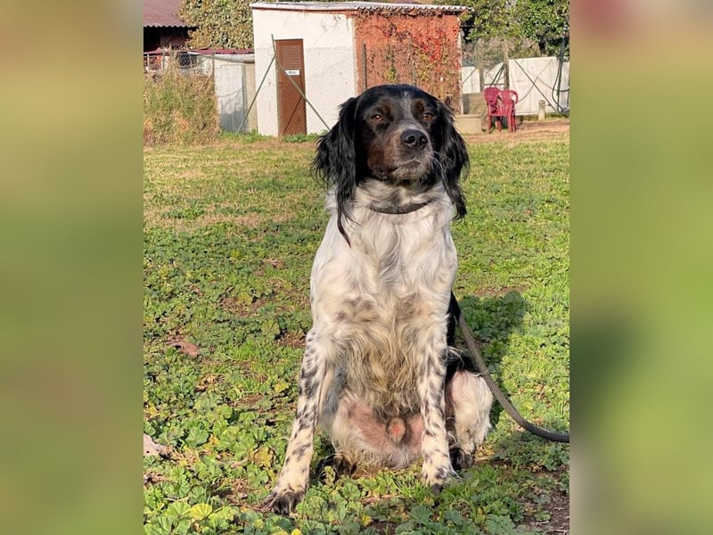 Eros- Wenn ein Wegwerfartikel ein Herz hat
