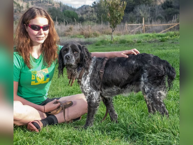 Xico – leicht zu erziehen