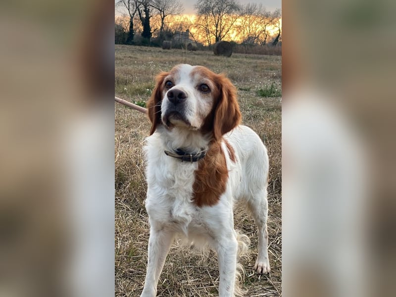 Giotto - Passt zu so viel mehr als nur zum Kaffee!