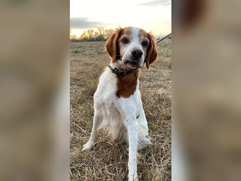 Giotto - Passt zu so viel mehr als nur zum Kaffee!