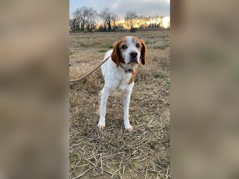 Giotto - Passt zu so viel mehr als nur zum Kaffee!
