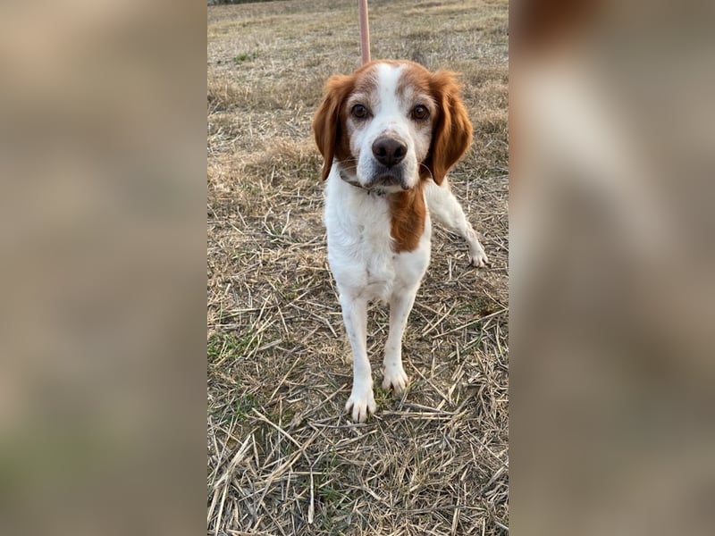 Giotto - Passt zu so viel mehr als nur zum Kaffee!