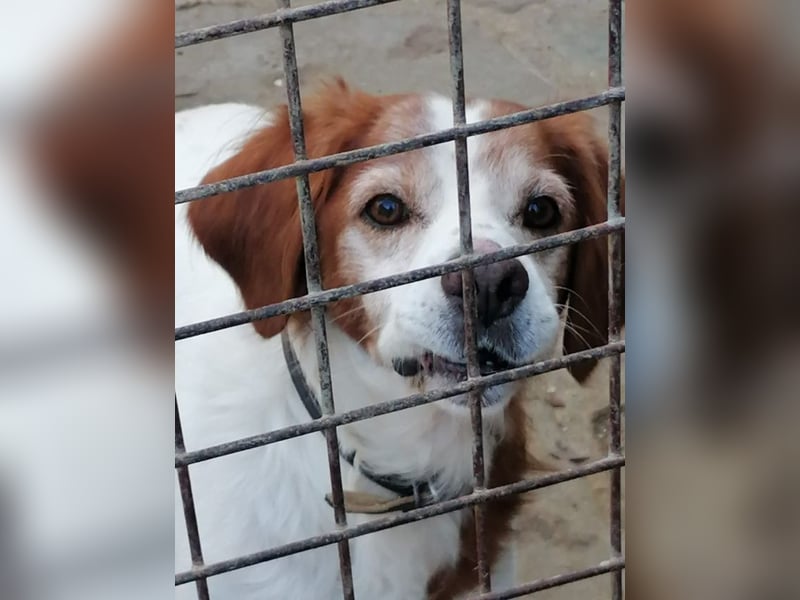 Giotto - Passt zu so viel mehr als nur zum Kaffee!