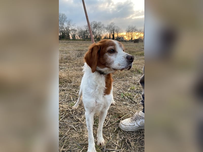 Giotto - Passt zu so viel mehr als nur zum Kaffee!