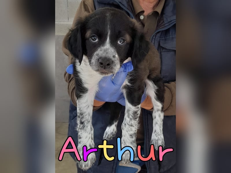 Arthur