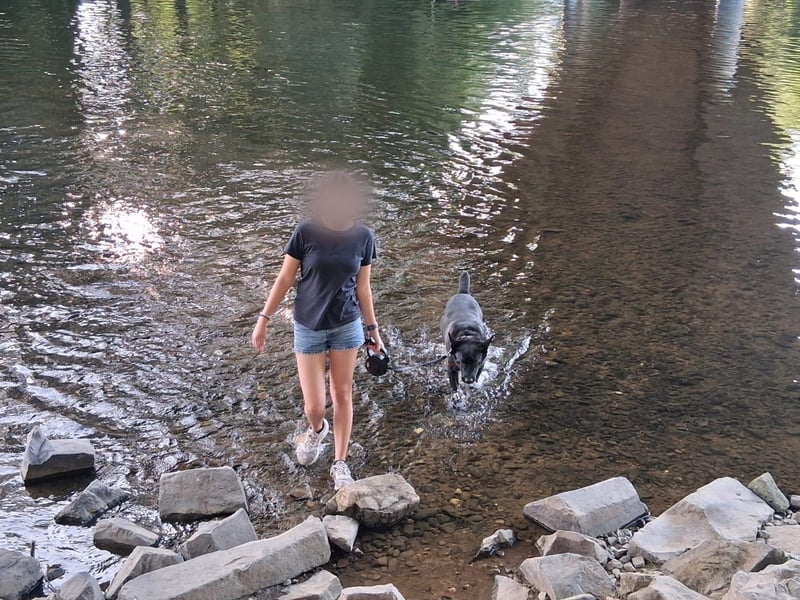 Familiäre Hundebetreuung