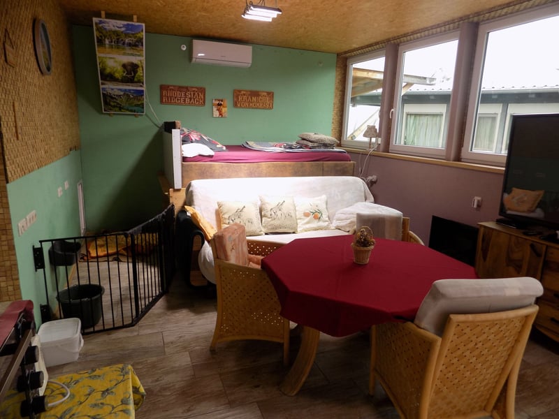 Farm-Hunde-Hotel  + RRR-WELPEN-Wurf - Abgabe April 2026