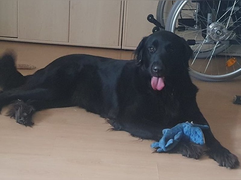 Trulla ist einfach traumhaft