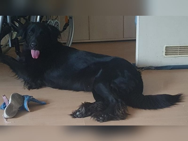 Trulla ist einfach traumhaft