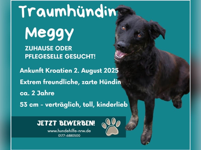 MEGGY – Wer ihr Herz gewinnt, hat eine Freundin fürs Leben!