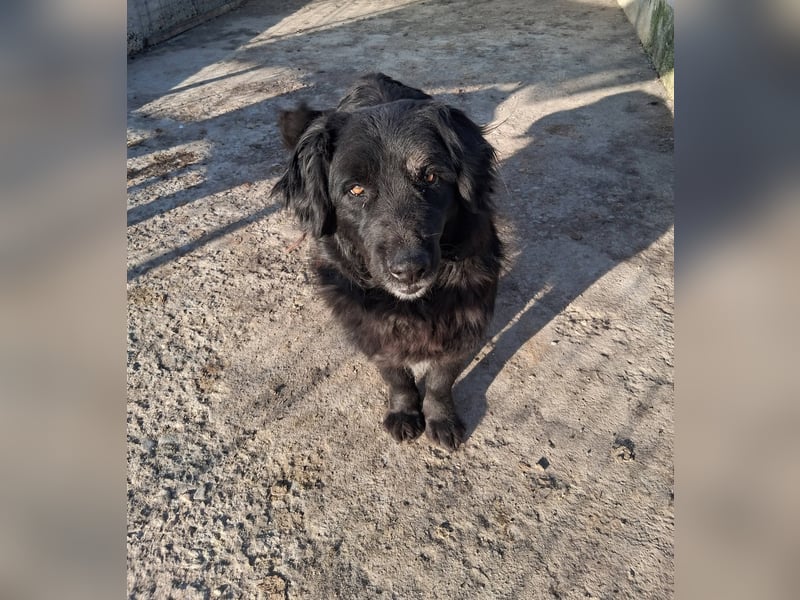 Fetizia - liebt Wasser