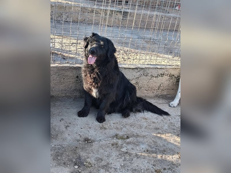 Fetizia - liebt Wasser