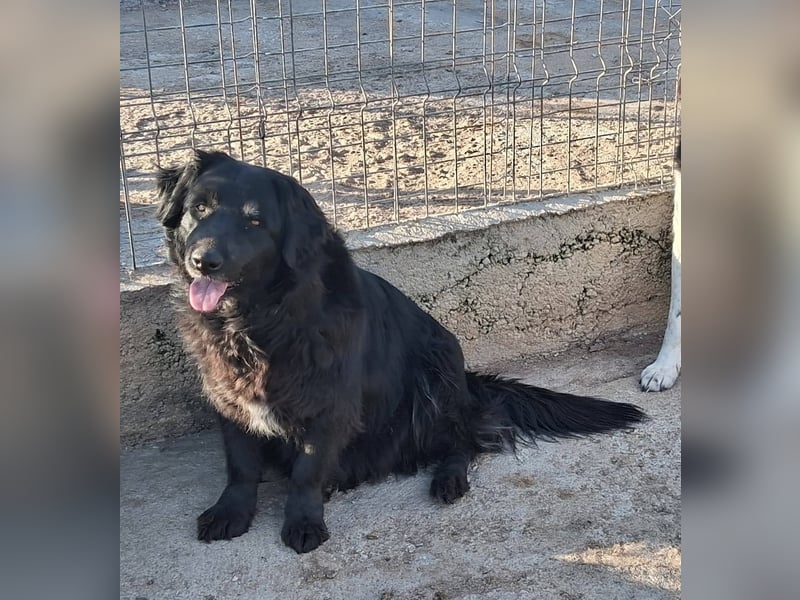 Fetizia - liebt Wasser