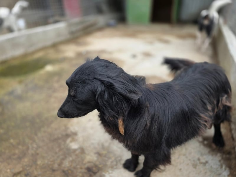 Fetizia  - sooo freundlich