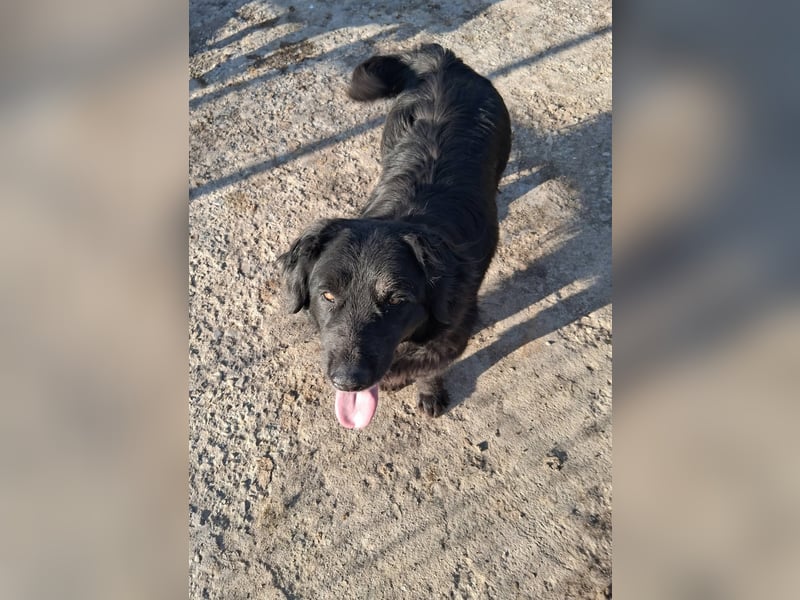 Fetizia - liebt Wasser