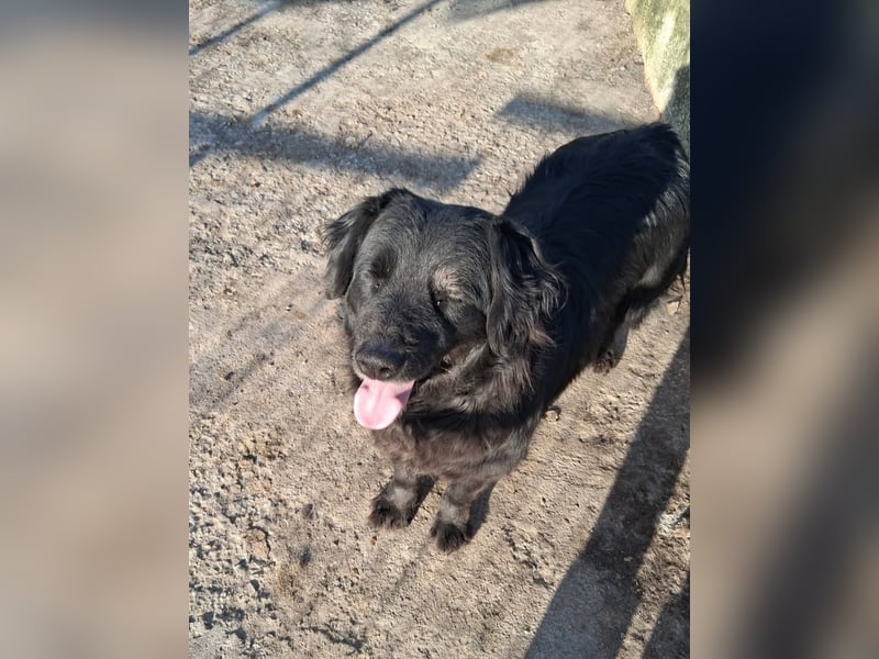 Fetizia - liebt Wasser