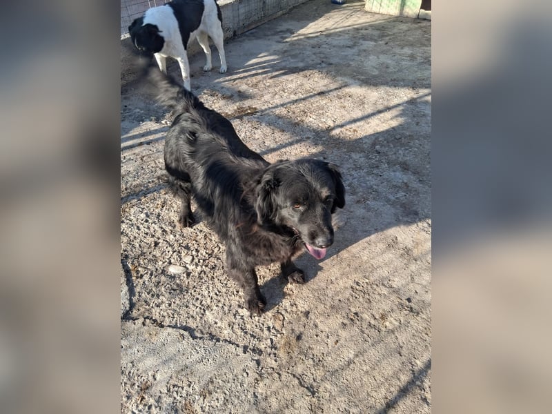 Fetizia - liebt Wasser