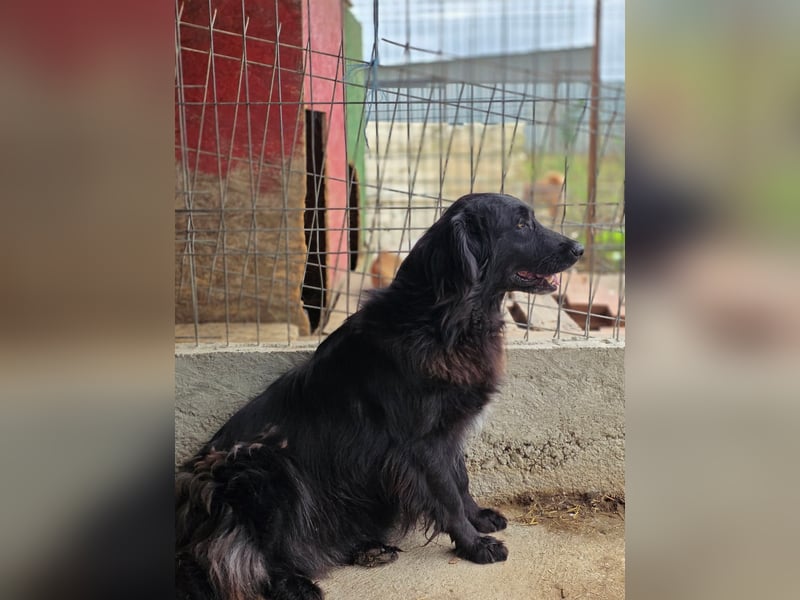 Fetizia  - sooo freundlich