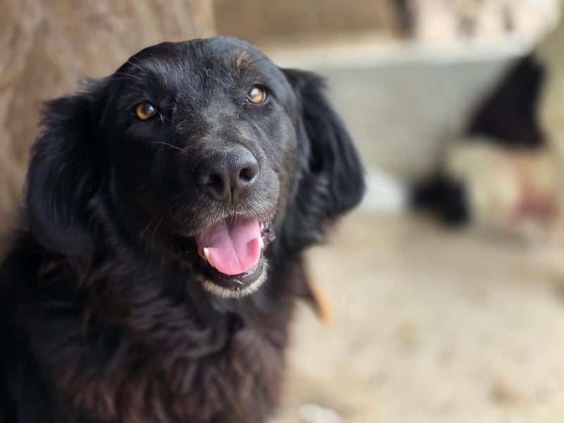 Fetizia  - sooo freundlich