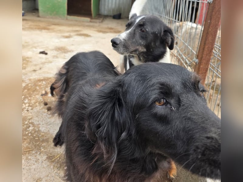 Fetizia  - sooo freundlich