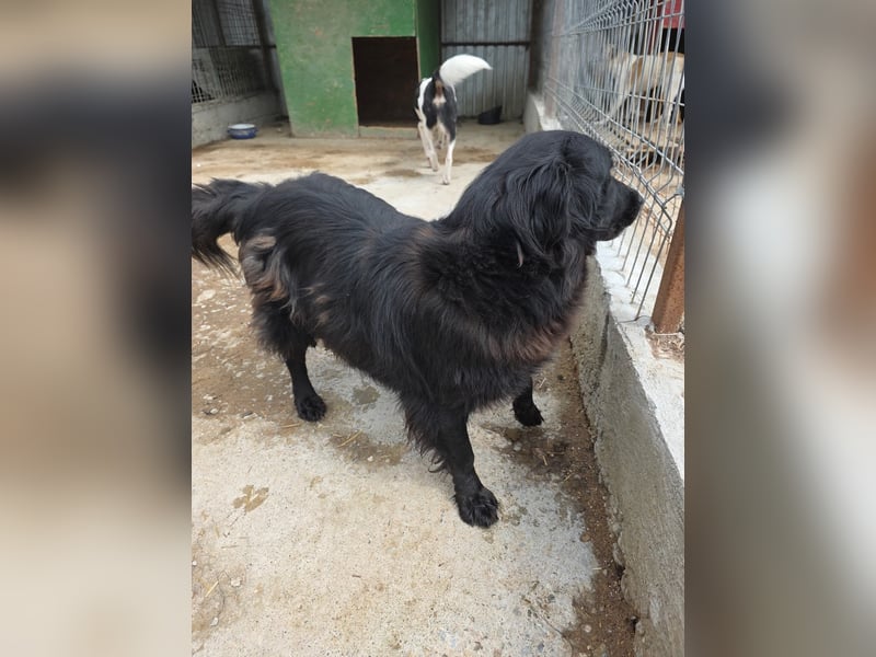 Fetizia  - sooo freundlich