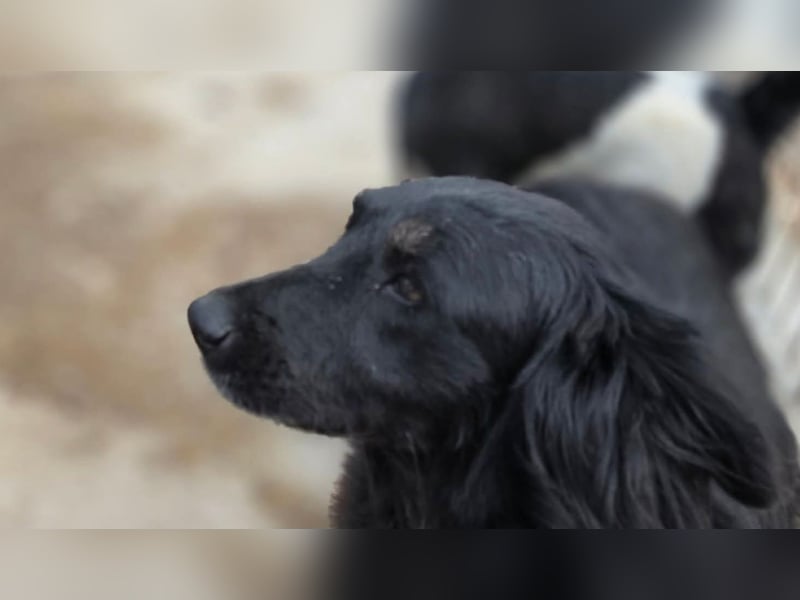 Fetizia  - sooo freundlich