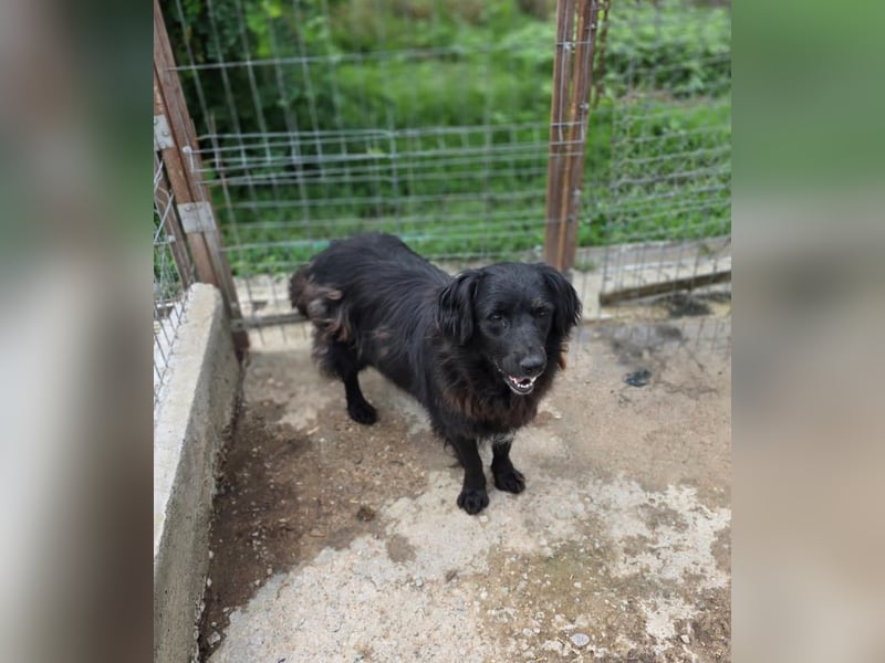 Fetizia  - sooo freundlich