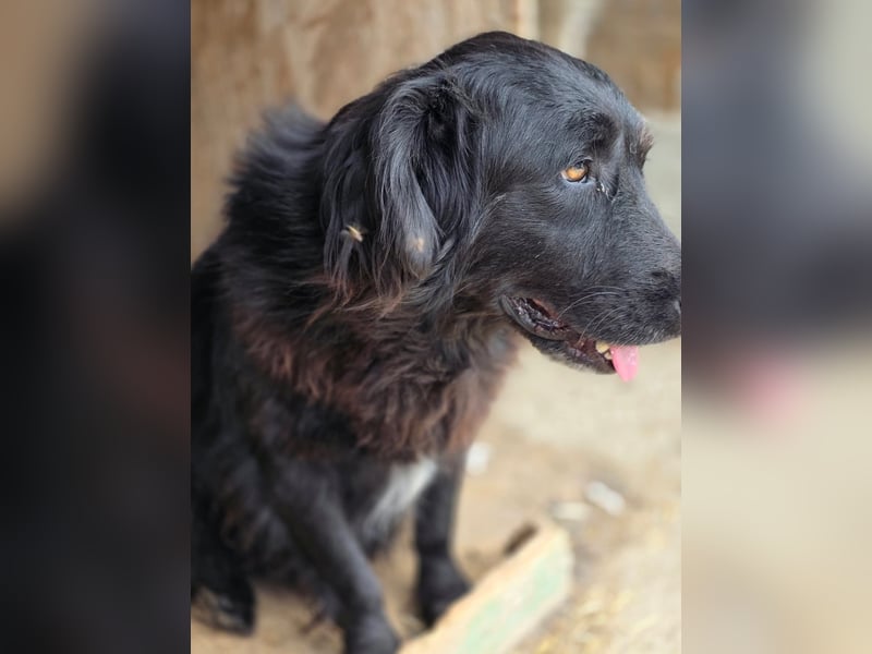 Fetizia  - sooo freundlich