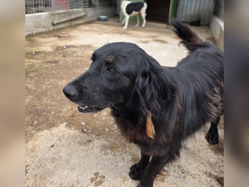 Fetizia  - sooo freundlich