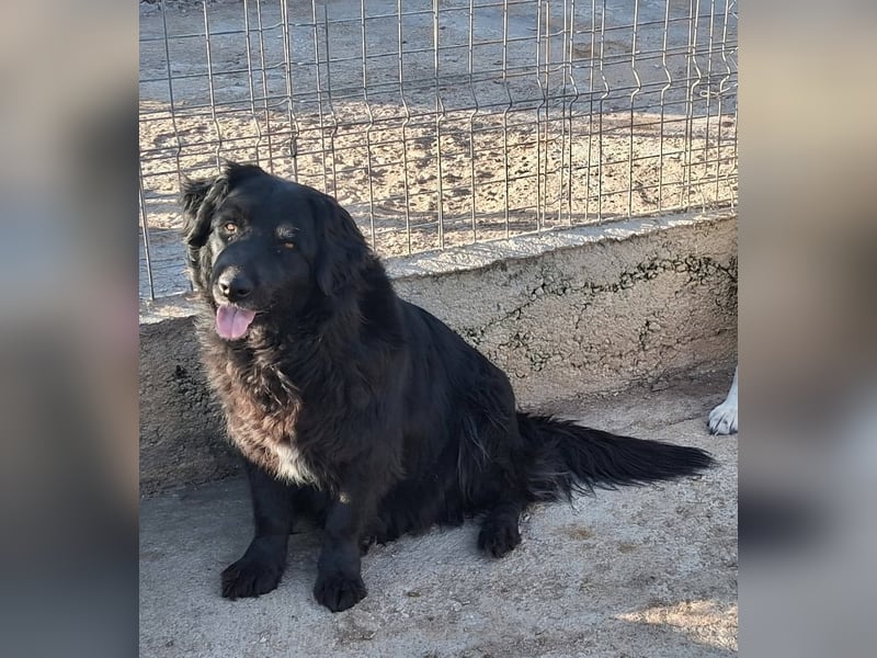 Fetizia - liebt Wasser