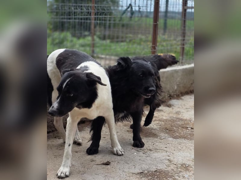 Fetizia  - sooo freundlich