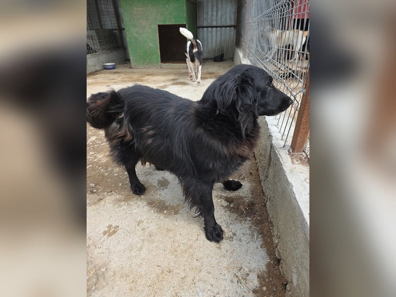 Fetizia  - sooo freundlich