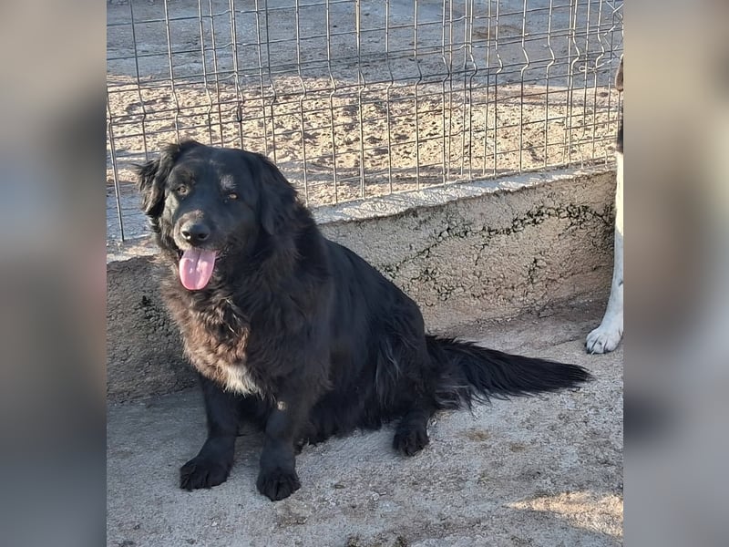 Fetizia - liebt Wasser