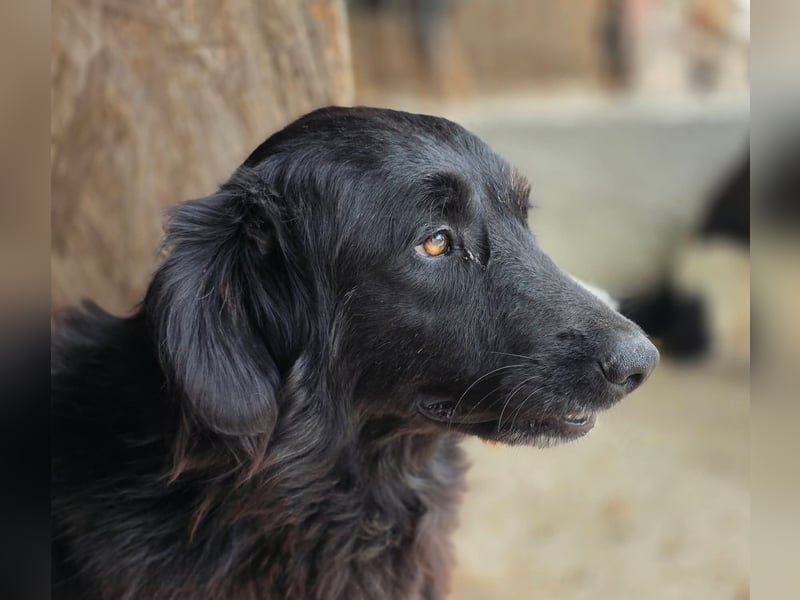 Fetizia  - sooo freundlich