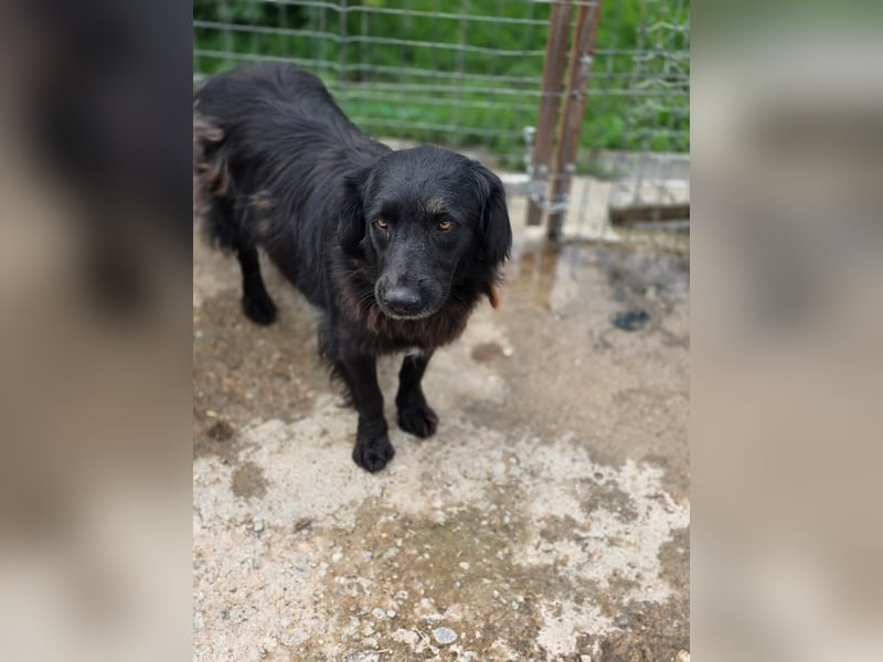 Fetizia  - sooo freundlich