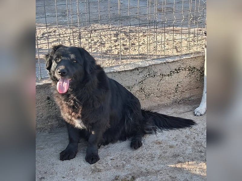 Fetizia - liebt Wasser