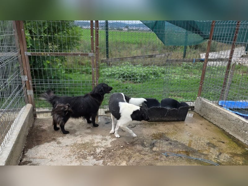 Fetizia  - sooo freundlich