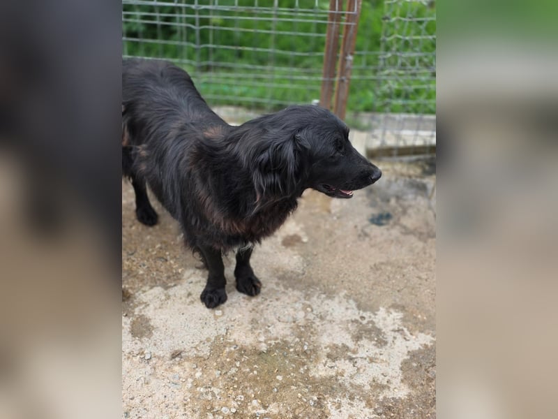 Fetizia  - sooo freundlich